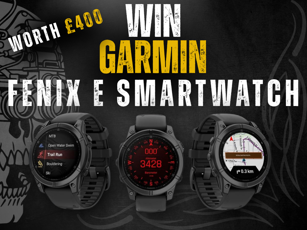 Garmin Fenix E Smartwatch